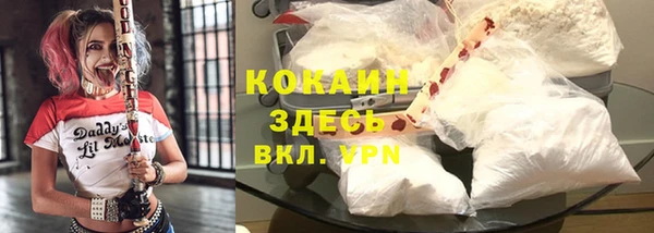 спиды Абаза